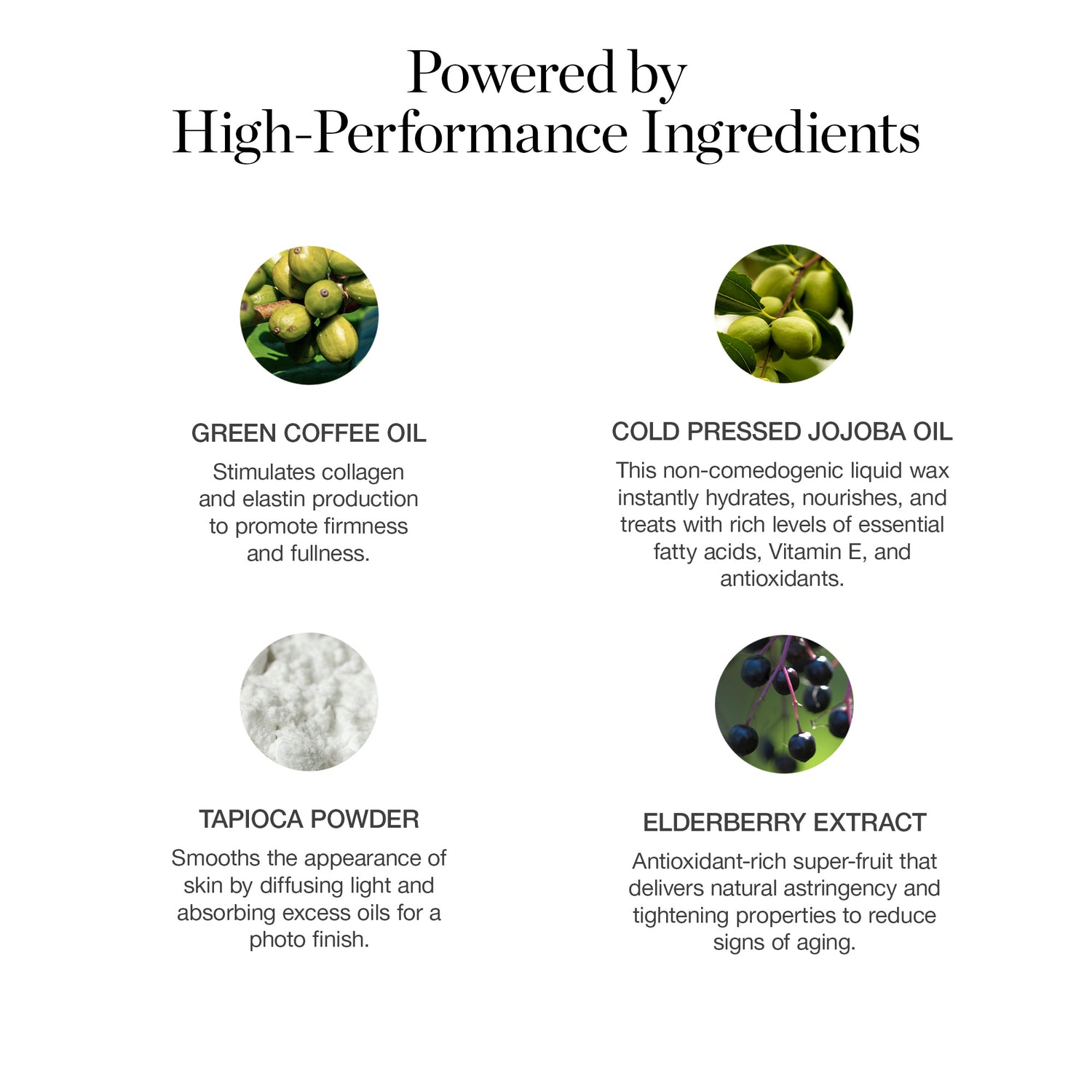 OBSIDIAN - Matte Deep Bronze