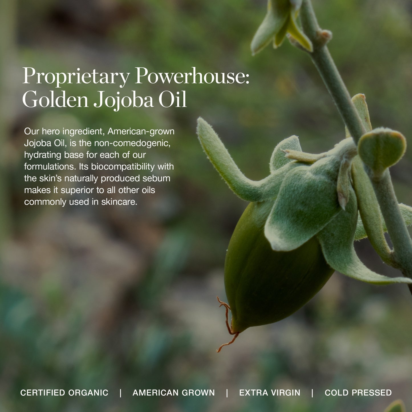 Beloved - Sculpted Lipstick Amnesia & Lip Gloss Freesia