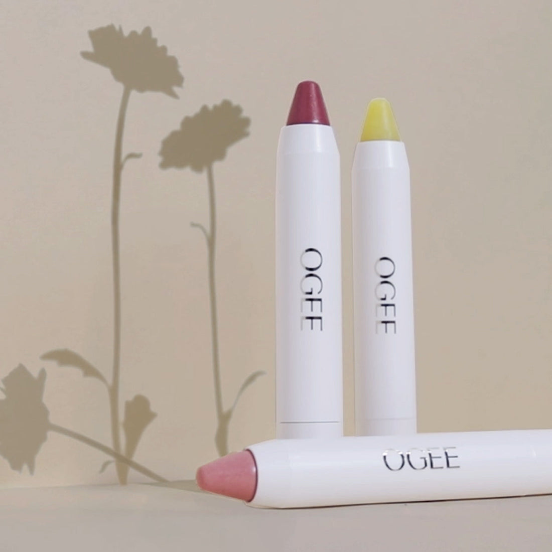 4pc lip tints