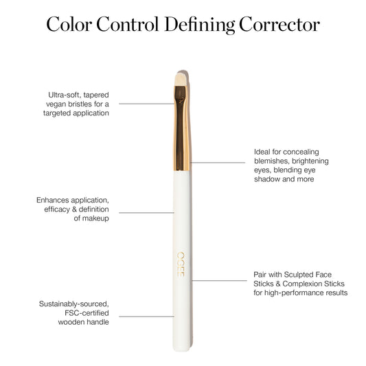 The Brush Bundle - NEW