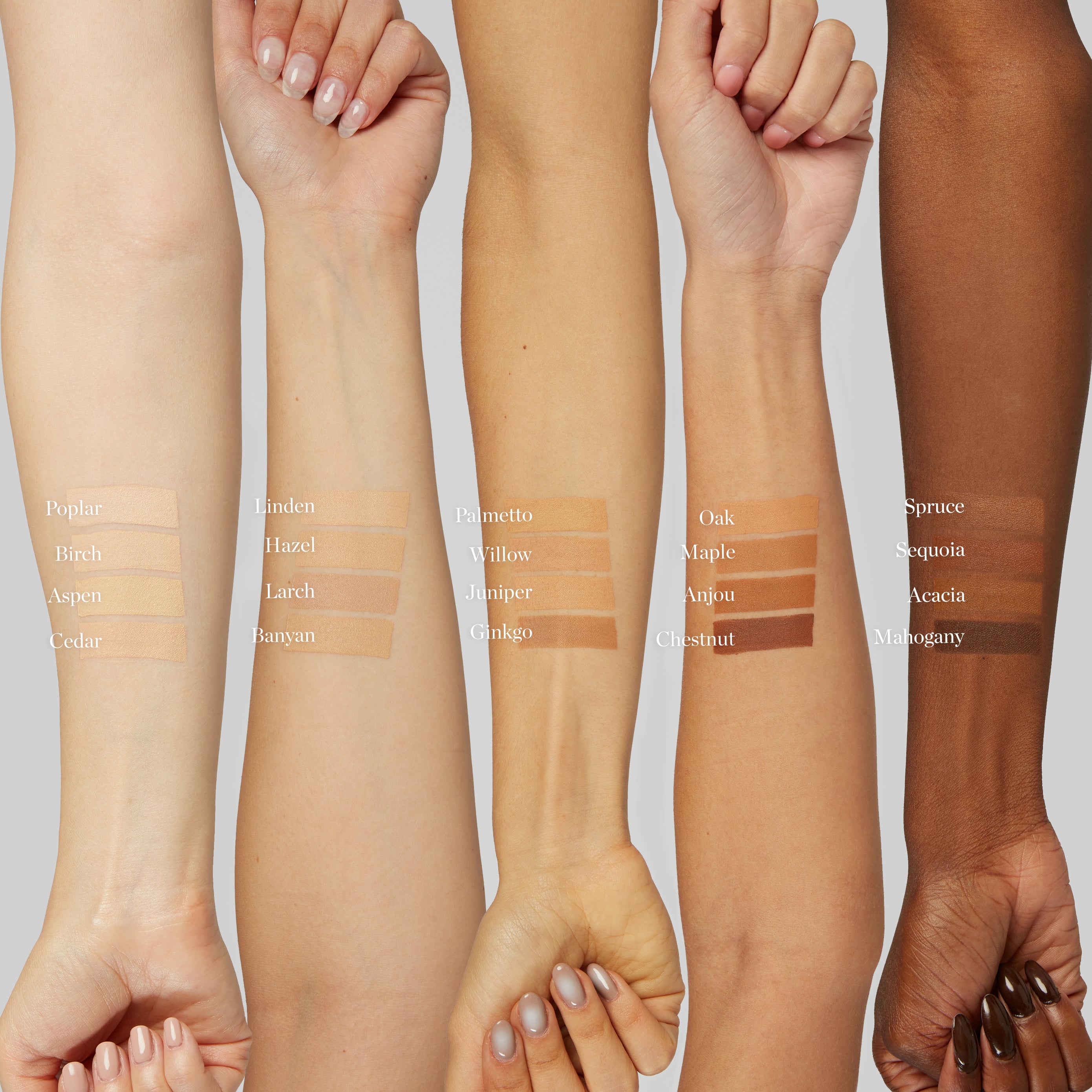 Sculpted Complexion Stick – Ogee