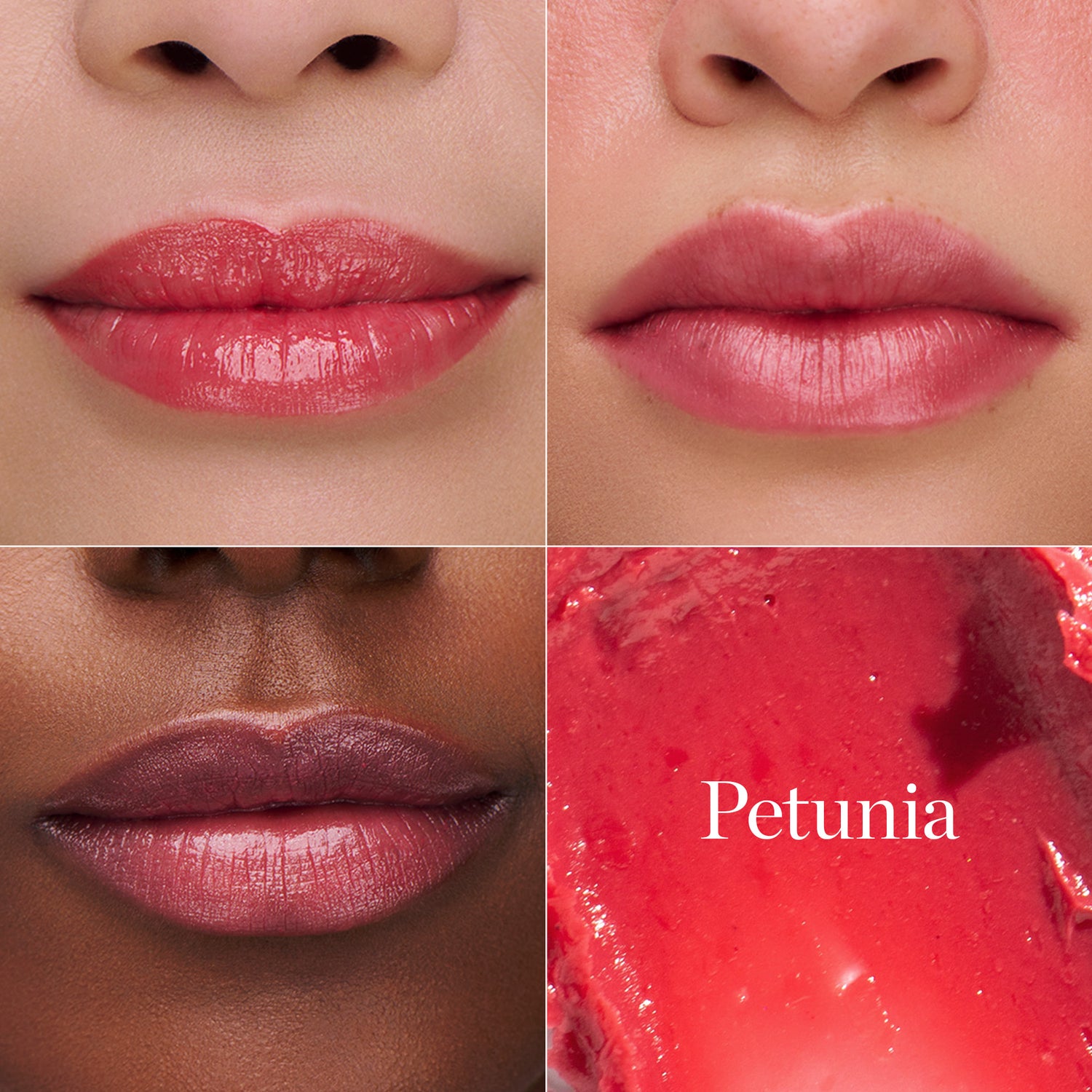 PETUNIA - SHEER BLUSH