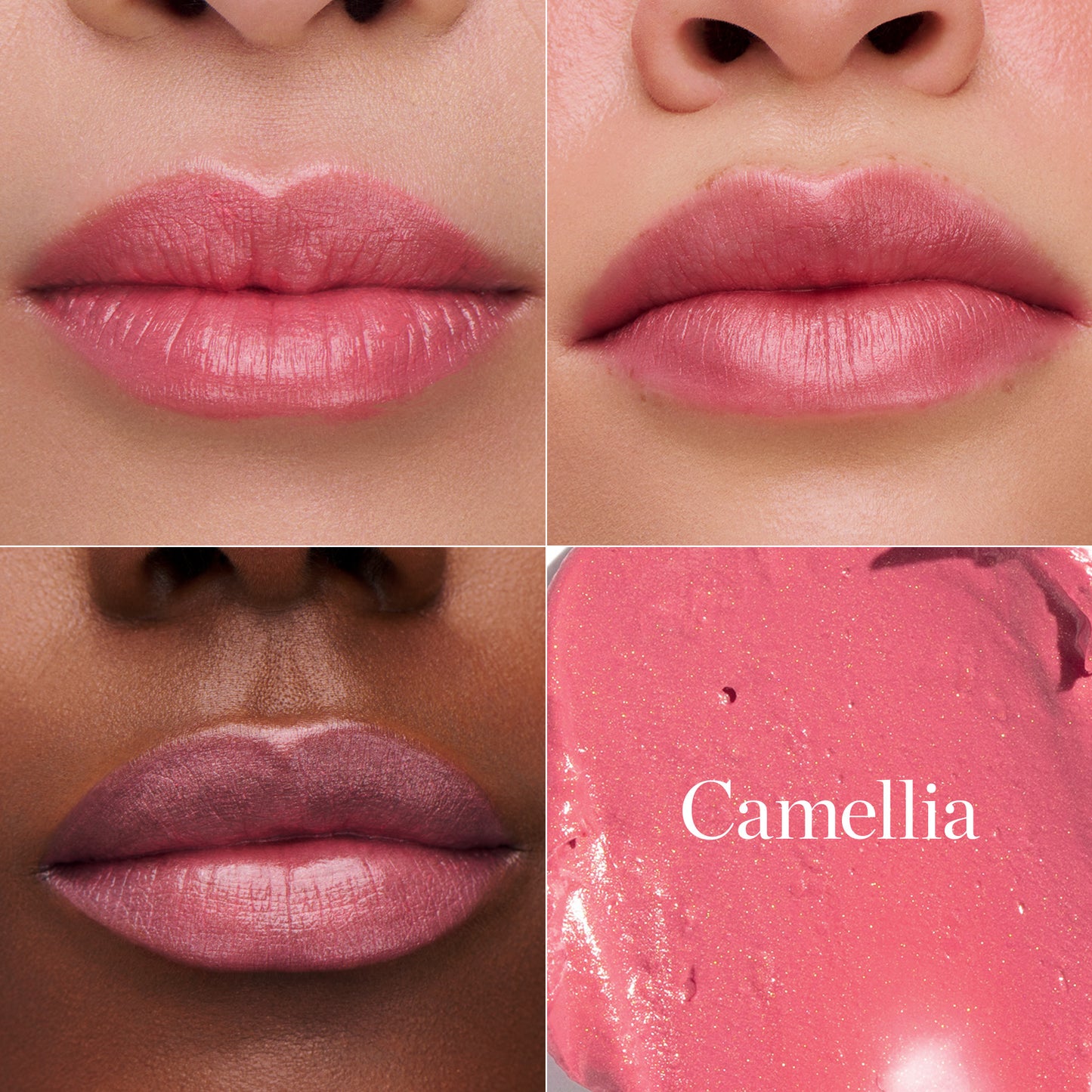 CAMELLIA - CLASSIC PINK