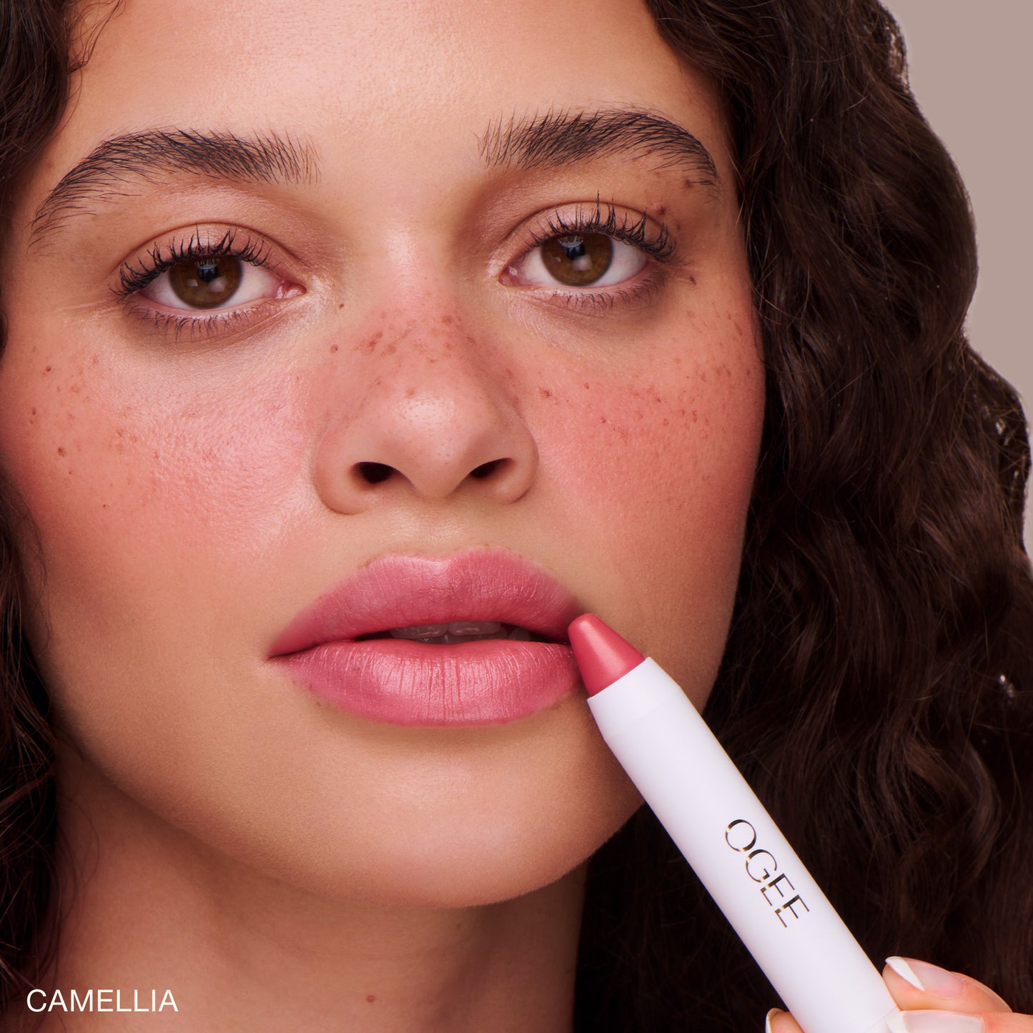 CAMELLIA - CLASSIC PINK