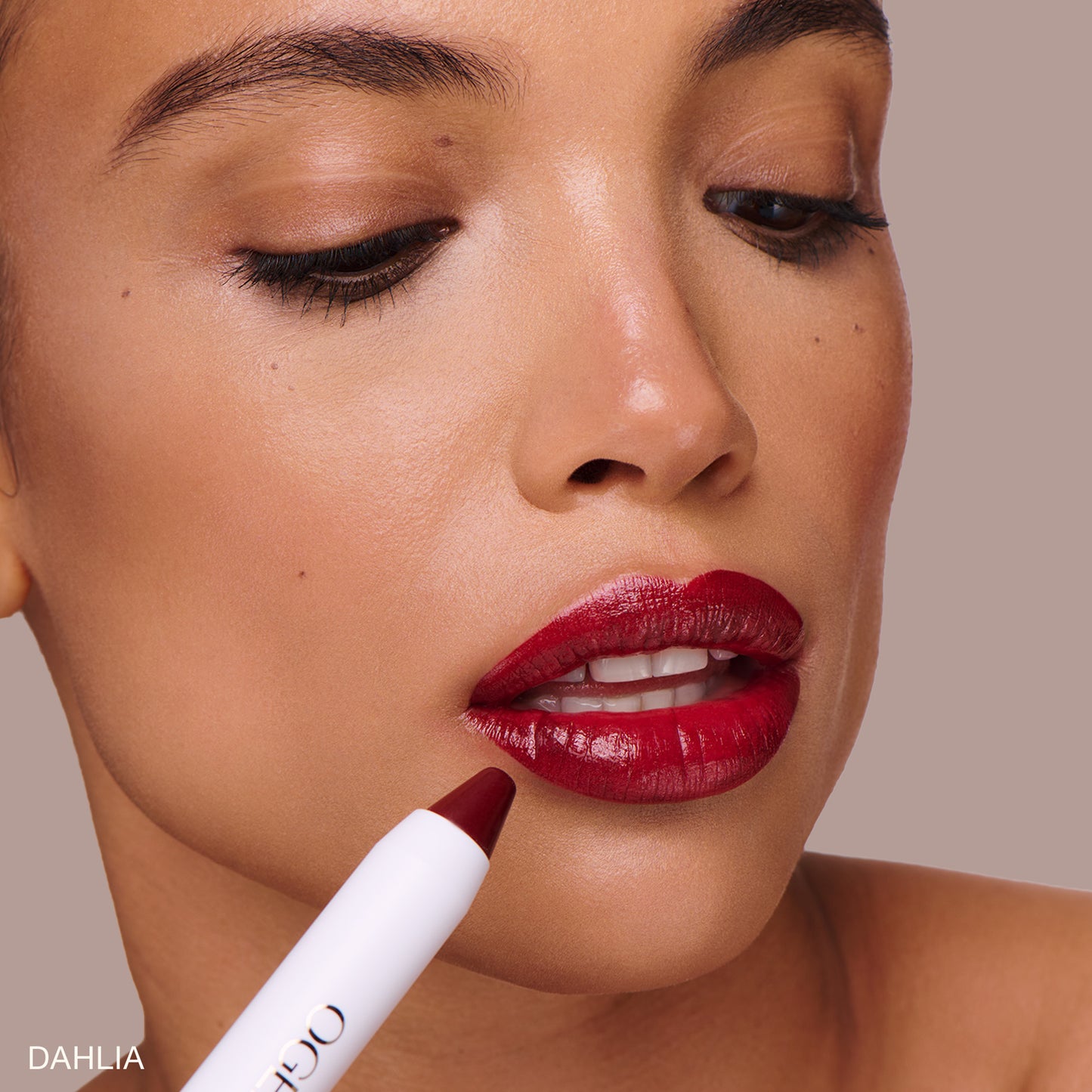 DAHLIA - BURGUNDY WINE