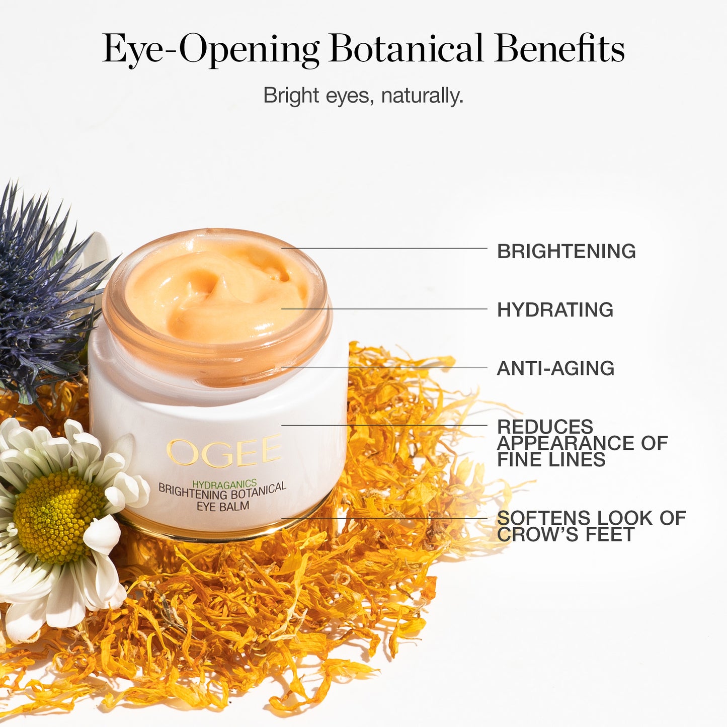 Brightening Botanical Eye Balm