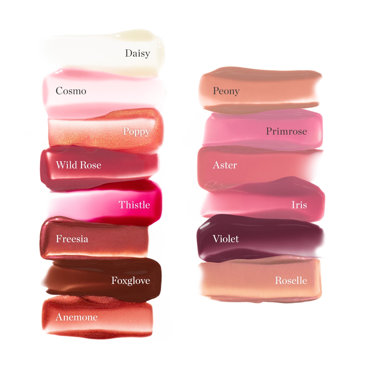 WILD ROSE - Rich Rosy Pink