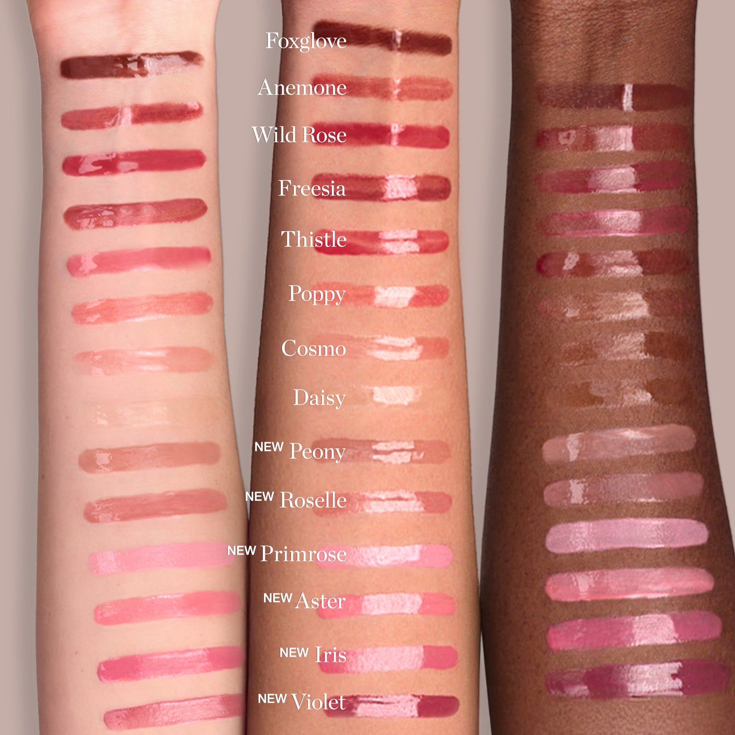 WILD ROSE - Rich Rosy Pink