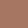 TIGER EYE - Golden Bronze Shimmer