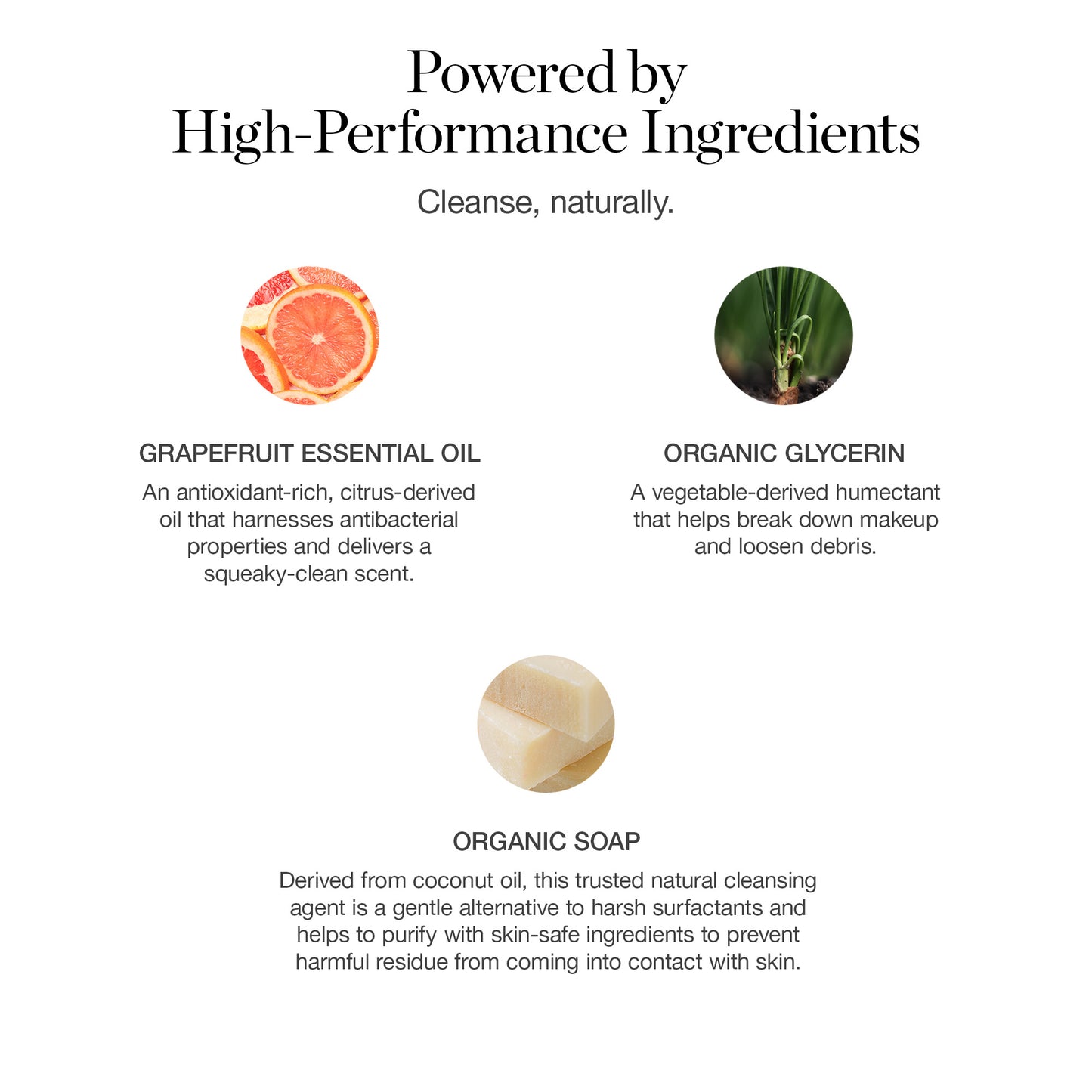 Cleanser and Brush Duo