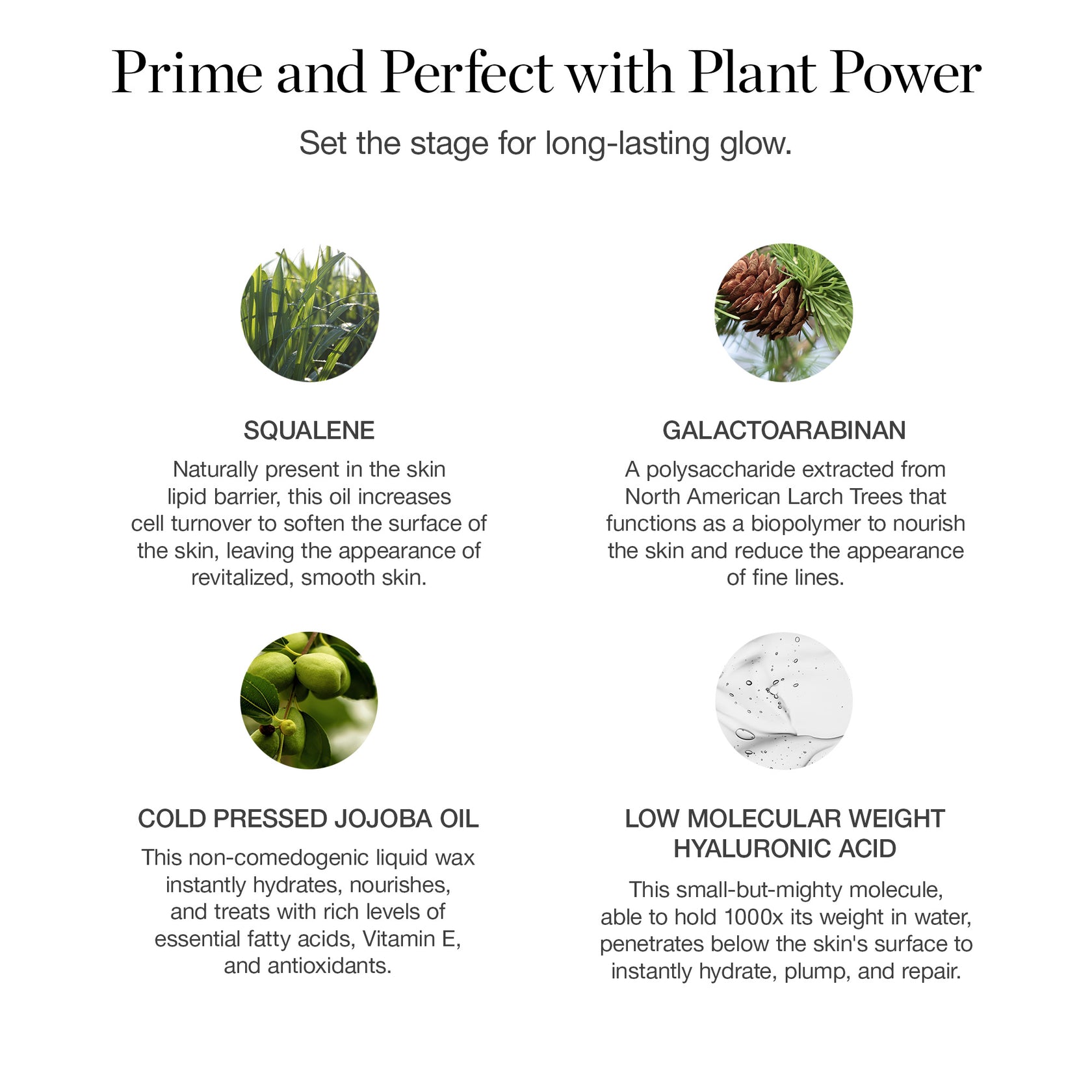 Activated Botanical Primer – Ogee