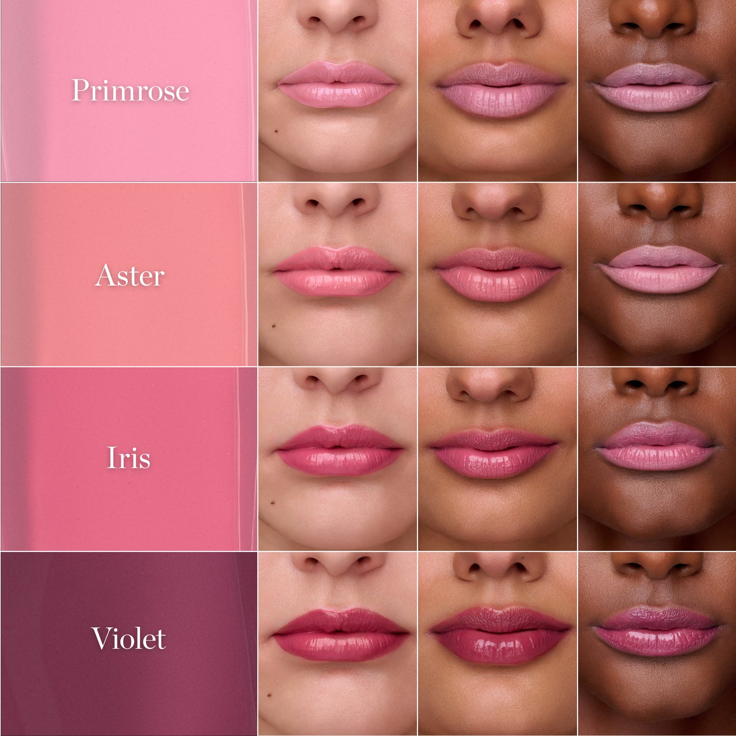 ASTER - Peachy Pink