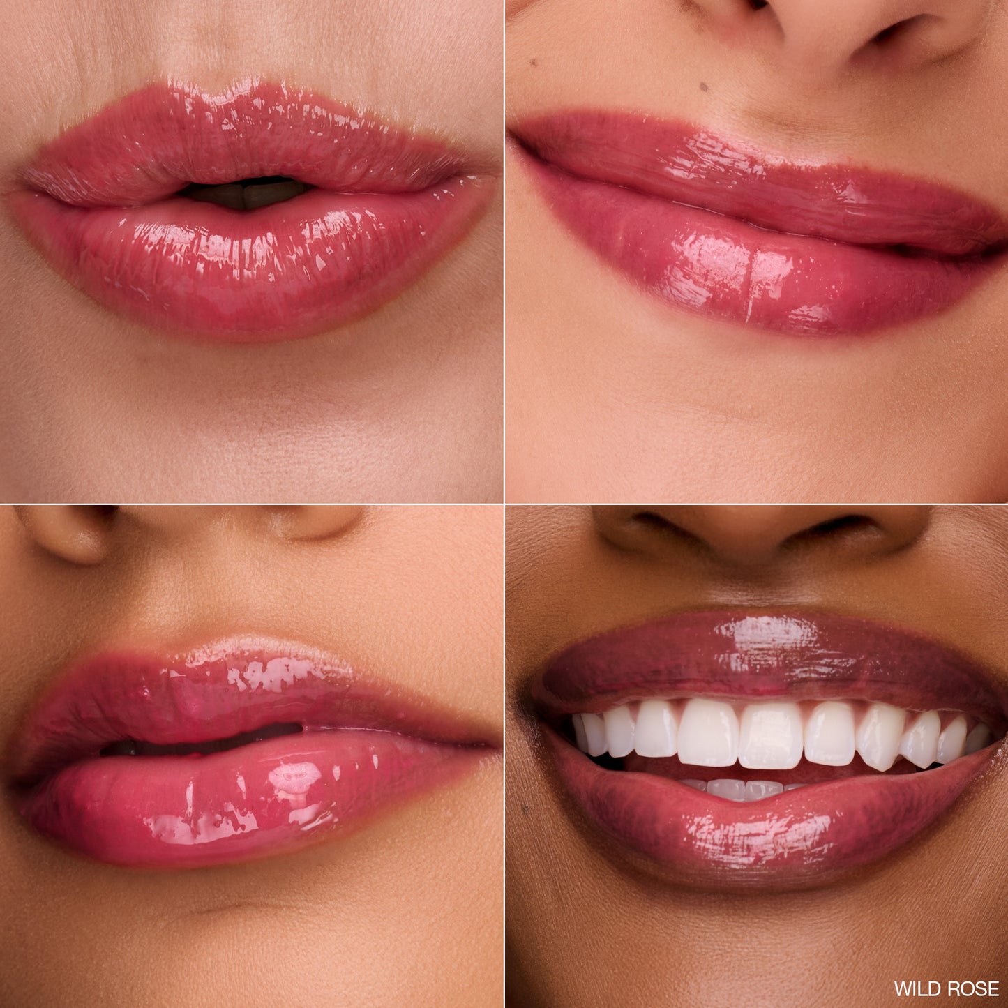 WILD ROSE - Rich Rosy Pink