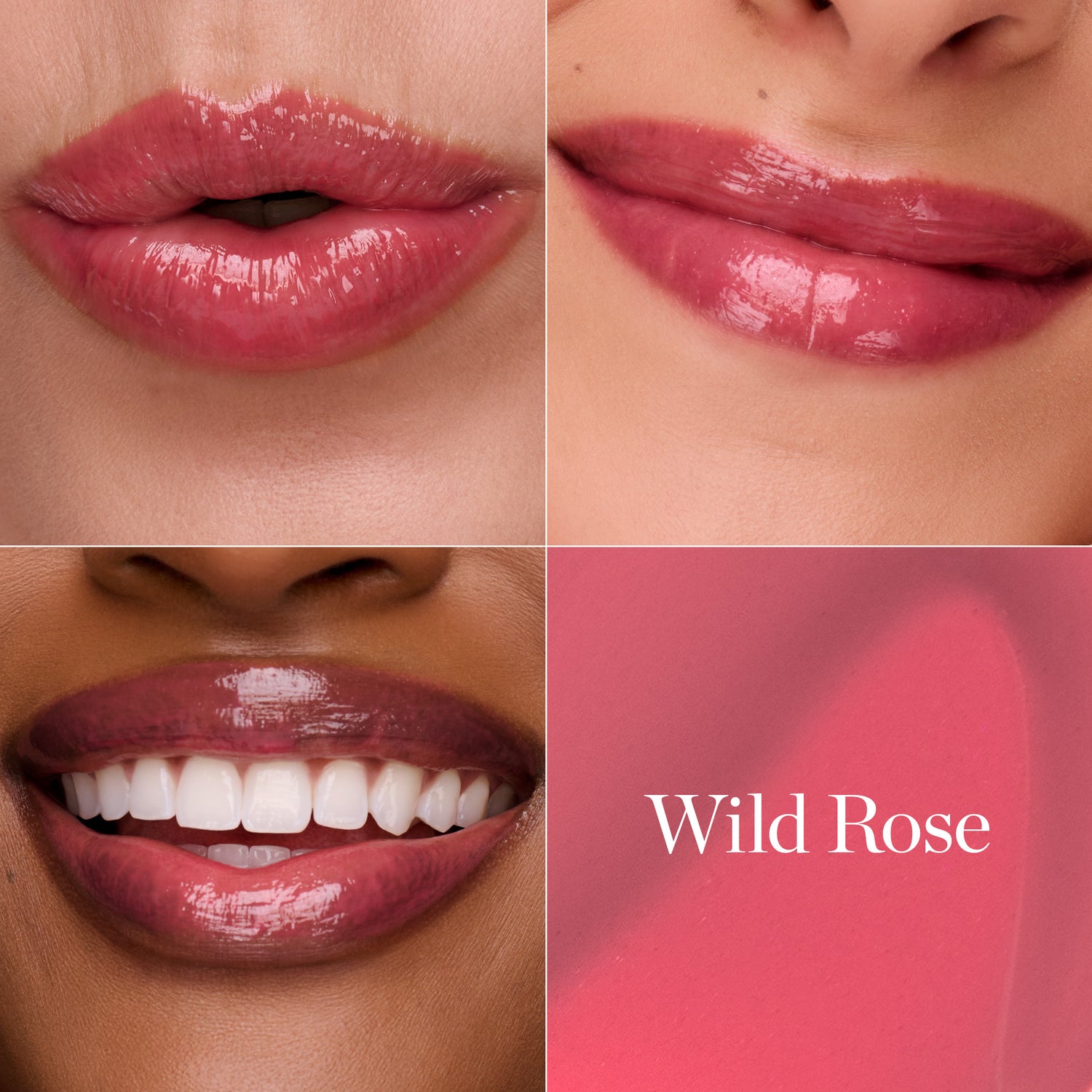 WILD ROSE - Rich Rosy Pink