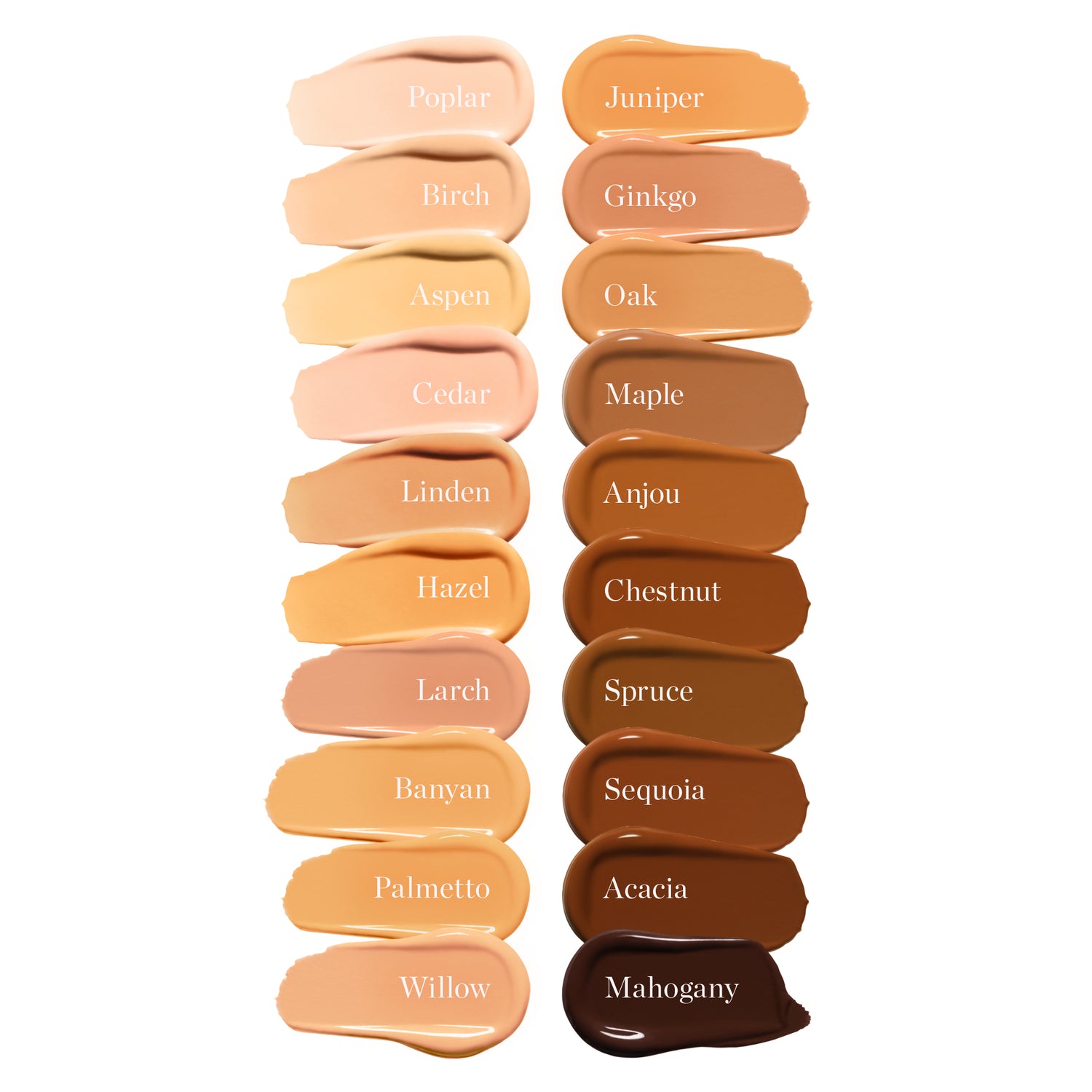 GINKGO 5.00N - Medium Tan (Neutral Undertones)